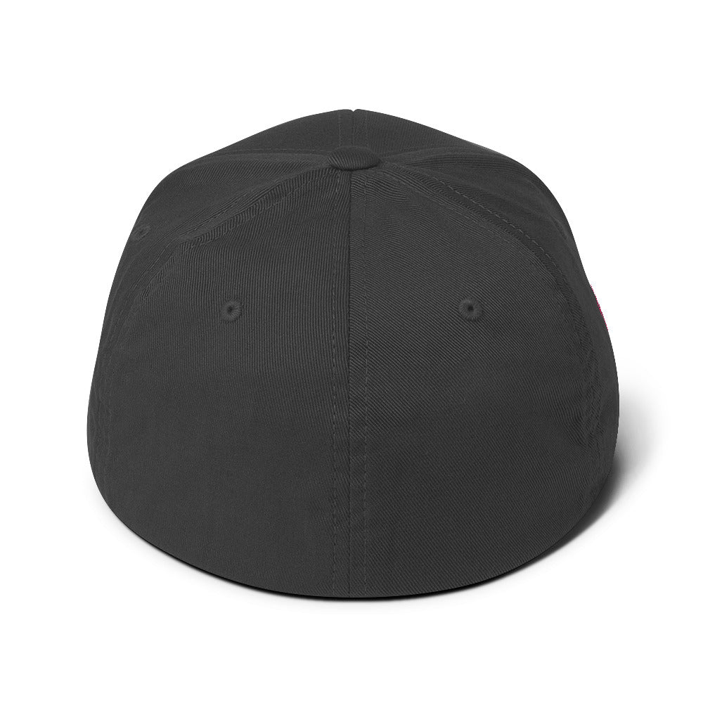 Believer Embroidered Structured Flex Fit Hat