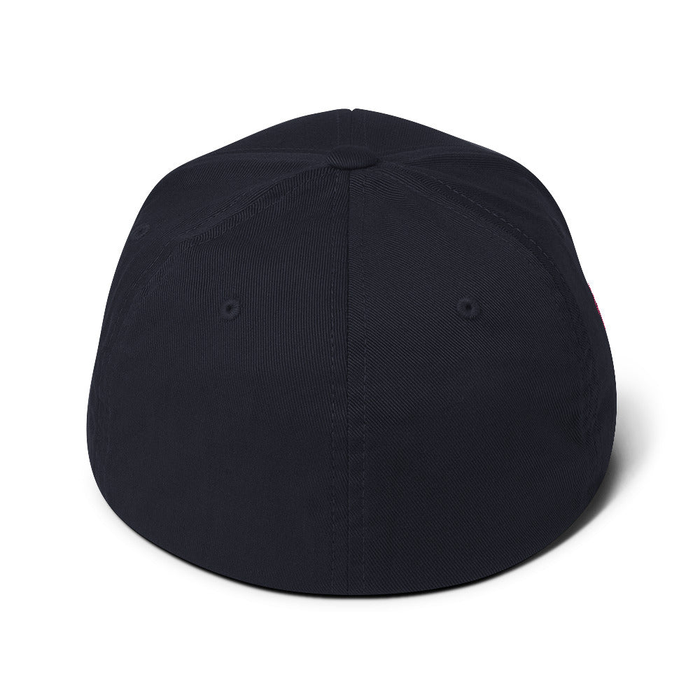 Believer Embroidered Structured Flex Fit Hat