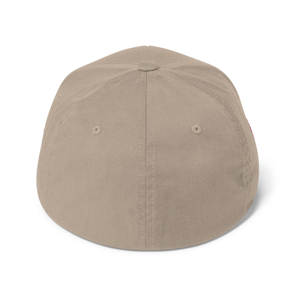 Believer Embroidered Structured Flex Fit Hat
